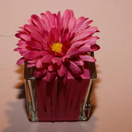 Restaurant Vogt Szálloda